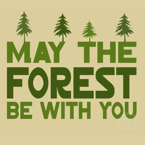 may the forest be with you.jpg?142264892